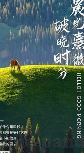 欢乐水果机破解版下载-欢乐水果机破解版下载，解锁娱乐新体验
